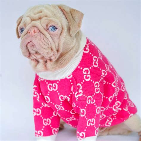 pink gucci dog sweater|designer dog coats gucci.